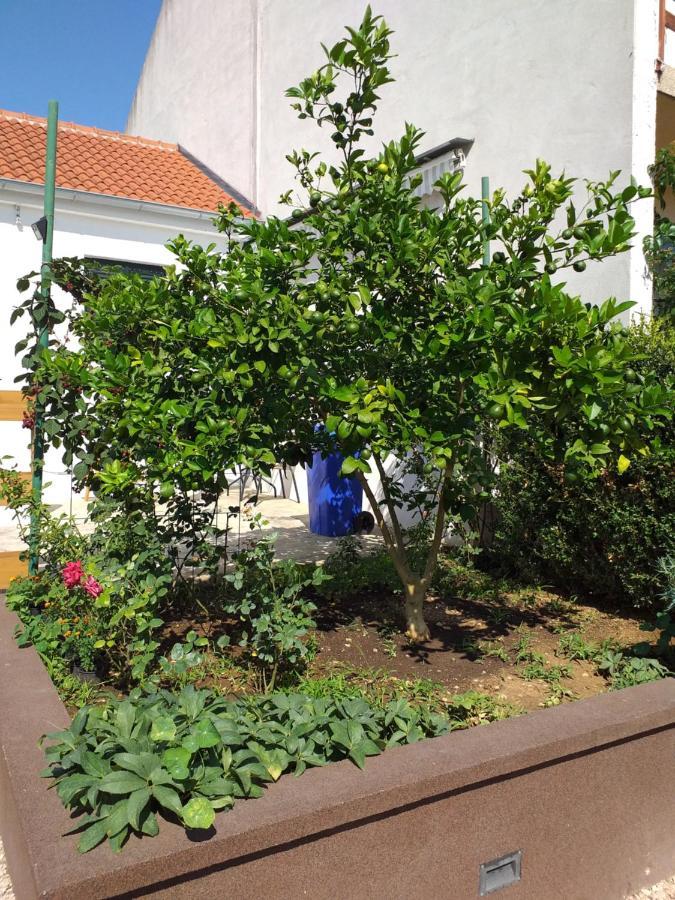 Apartments Jelicic Biograd Na Moru Exterior photo